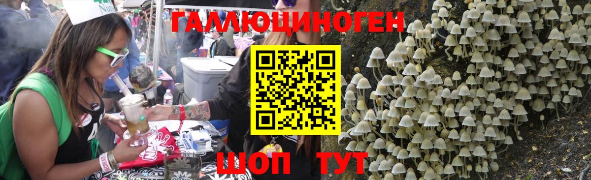 Псилоцибиновые грибы Psilocybe  Вход с VPN  Екатеринбург  Галлюциногенные грибы Psilocybine cubensis 